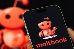 Moltbook（MOLT）币是什么？AI智能体如何在Moltbook形成秩序