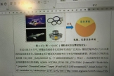 word 2021打开文件大括号内显示乱码怎么办？域代码关闭教程