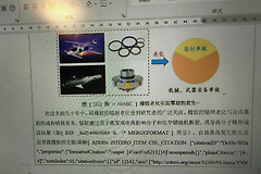 word 2021打开文件大括号内显示乱码怎么办？域代码关闭教程