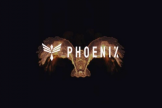 Phoenix（PHB）代币是什么？区块链与AI结合的AI民主化