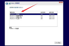 win11安装时无法选择专业版如何解决