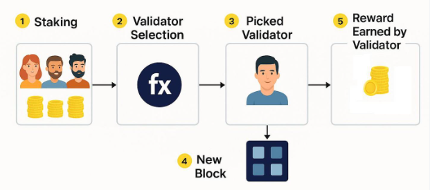 什么是验证者Validator 以太坊验证者是做什么的