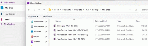 onenote备份功能怎么用？打开备份文件与手动备份教程