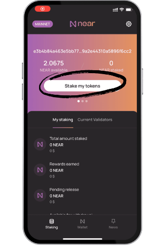如何质押NEAR Protocol? NEAR Protocol质押教程