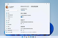 win11系统怎么打开开发人员模式