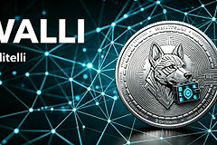 Wallitelli是什么？WALLI把链上分析做成了日常快照