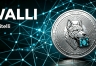 Wallitelli是什么？WALLI把链上分析做成了日常快照