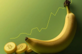 香蕉区能判断加密货币上涨的行情吗? 从香蕉区到奇点来解析加密货币上涨行情