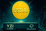 USD.AI有什么优势和风险? USD.AI的未来发展潜力如何?