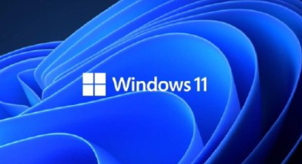 Windows11 IE浏览器打开指南