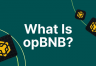 opBNB Layer2新手指南：低Gas费特点 、添加网络 、 官方Bridge操作完