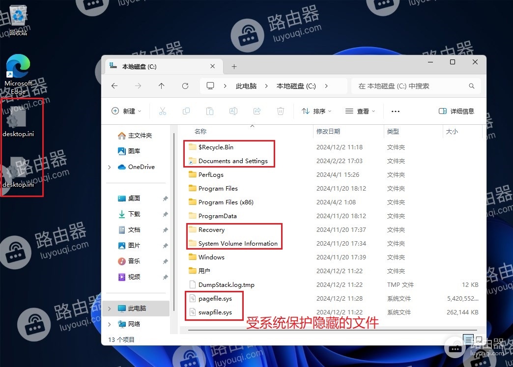 Win11系统中显示隐藏文件方法