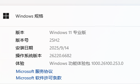 win11磁盘属性没有readyboost选项怎么办?无法删除加速文件解决教程
