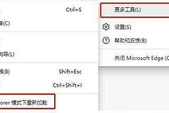 Windows11系统flash插件怎么使用