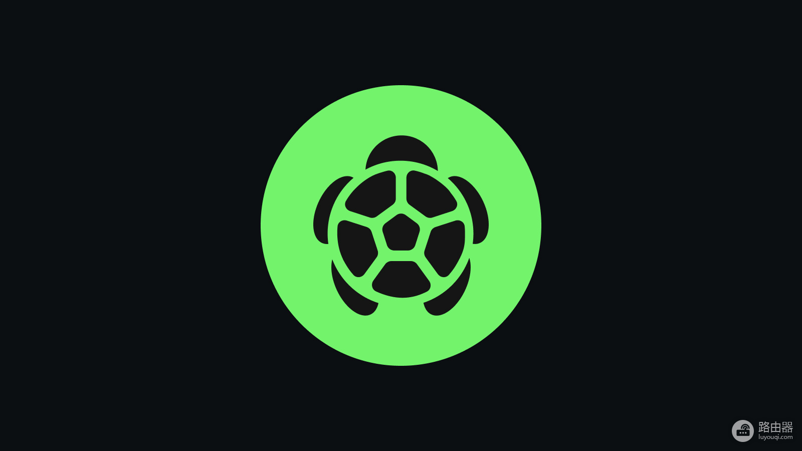 什么是Turtle (TURTLE)币?Turtle空投怎么参与?