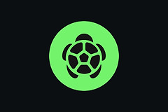 什么是Turtle （TURTLE）币？Turtle空投怎么参与？
