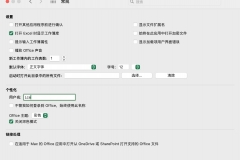 excel for mac英寸改厘米怎么设置？标尺单位切换教程