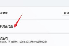 Win11右键打开所有选项设置步骤详解