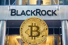 贝莱德CEO为什么力挺比特币？从洗钱工具到数字黄金，华尔街之王为何接盘？