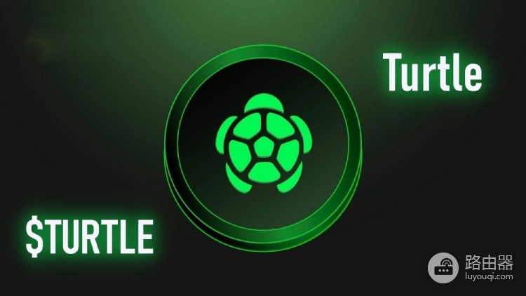 TURTLE代币是什么?Turtle连接资金和项目分配流动性