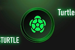 TURTLE代币是什么？Turtle连接资金和项目分配流动性