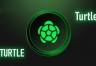 TURTLE代币是什么？Turtle连接资金和项目分配流动性