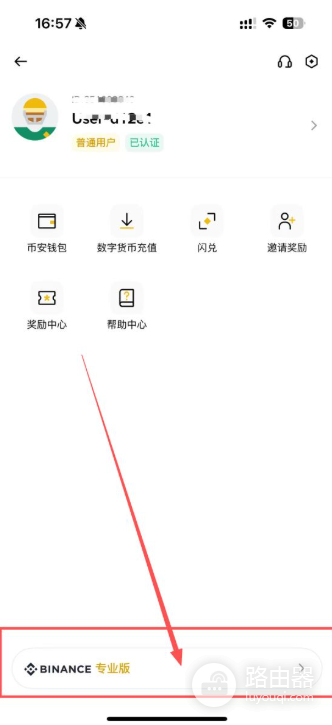 必安手机简易版跟专业版差在哪？选择哪个好？怎么切换?