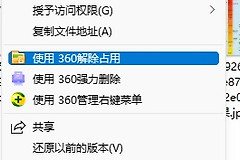 win11无法删除文件夹怎么办