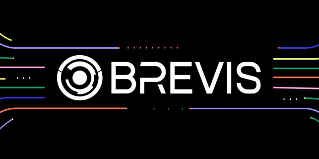ZK可验证运算平台Brevis是什么? 有什么用?