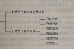 word中如何绘制多分支大括号？smartart快速制作教程