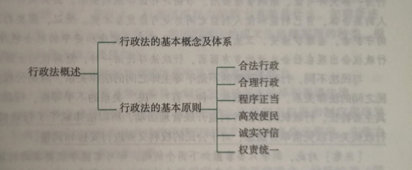 word中如何绘制多分支大括号？smartart快速制作教程