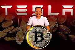马斯克的比特币资产究竟有多少？马斯克的比特币投资