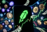 HOOD和山寨币有什么关系?Robinhood加密业务数据说明