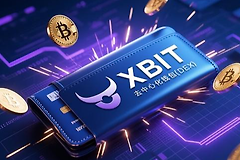 钱包并不存储用户的币？如何选择适合自己的钱包类型？
