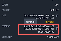 提现到钱包不到账怎么办？TxID交易哈希查询与区块浏览器排查教程