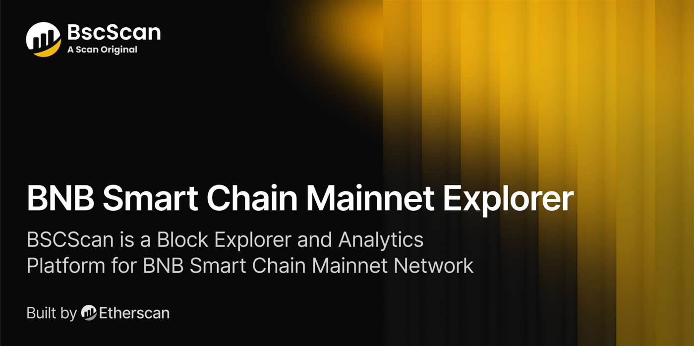 BNB Smart Chain浏览器入口是什么?BscScan TxID查询核对全流程