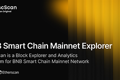 BNB Smart Chain浏览器入口是什么？BscScan TxID查询核对全流程