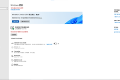 如何去除Win10设置中的Win11更新横幅？彻底屏蔽推送教程