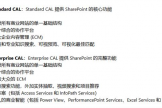 Sharepoint 2019容量限制由什么决定？CAL授权与存储空间关系