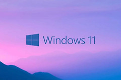 Win11没有磁盘清理选项怎么办