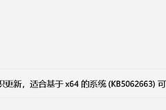 win11更新不推送24h2怎么办？windows update检查不到新版本解决方法