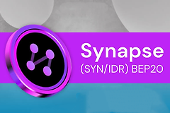 SYN是什么币?Synapse跨链协议详解,如何安全购买SYN