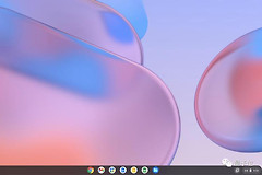 win11闪屏bug修复时间是什么时候