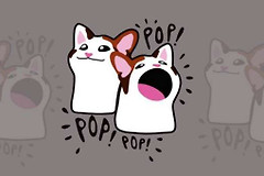 POPCAT是什么币？Solana上火爆的猫咪表情包币