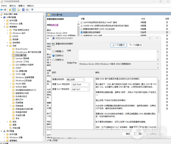 win11无法开启DoH怎么办？加密DNS选项灰色修复教程
