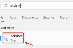 怎么在Windows11中启用或禁用任何服务