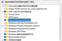win11开启虚拟机平台报错“无法完成更改 错误代码 0x800F0806”怎么办？windows功能更改失败修复教程