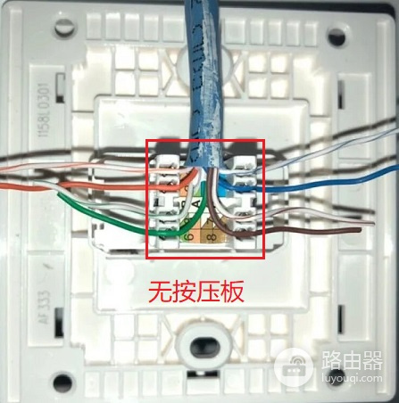网线的接线盒如何接(网线盒怎么接线)