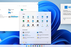Win11隐藏文件和文件夹怎么查看