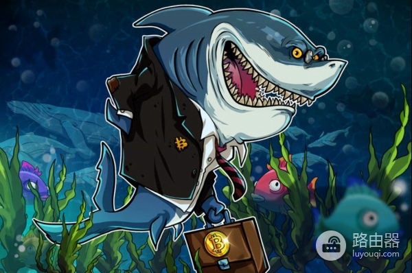 当比特币市场回落时，谁在悄悄加仓？链上数据里的真实分歧